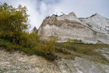 Danimarka 'daki Mons Klint' te güzel tebeşir kayalıkları