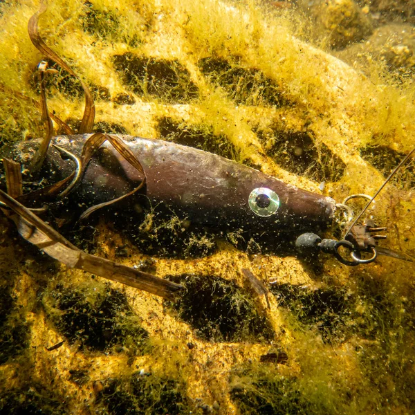An underwater picture of a fishing lure for catching fish. Brown lure on a yellow brick. The concept of active recreation — Stock Photo, Image