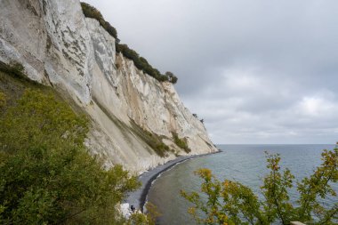 Danimarka 'daki Mons Klint' te güzel tebeşir kayalıkları