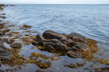 Mavi suyu ve arka planında mavi gökyüzü olan kayalık bir kıyı şeridi. Fotoğraf: Skalderviken, İsveç