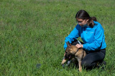 Genç bir kız, Alman çoban köpeğini eğitiyor.