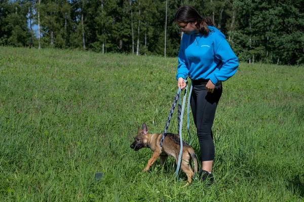 Une adolescente piste train son chiot berger allemand — Photo