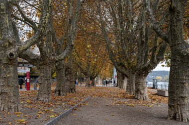 Almanya 'nın Koblenz kentindeki Alman Köşesi, Rhein ve Mosel nehirlerinin birleştiği yer. Bu, Almanya 'nın birleşmesinin önemli bir sembolüdür. 