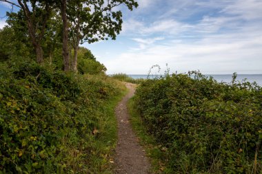 Yeşillik bitki örtüsünde bir yürüyüş yolu. Arka planda mavi bir su ve mavi bir gökyüzü. Fotoğraf: Skalderviken, İsveç