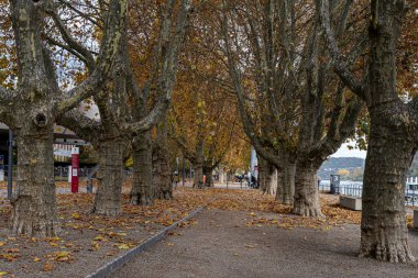 Almanya 'nın Koblenz kentindeki Alman Köşesi, Rhein ve Mosel nehirlerinin birleştiği yer. Bu, Almanya 'nın birleşmesinin önemli bir sembolüdür. 