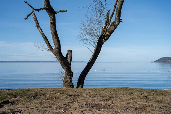 Прекрасний вид на озеро вранці. Туман над блакитним озером — стокове фото