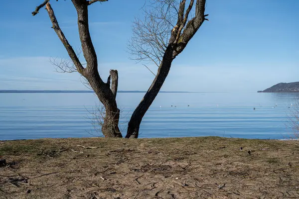 Прекрасний вид на озеро вранці. Туман над блакитним озером — стокове фото