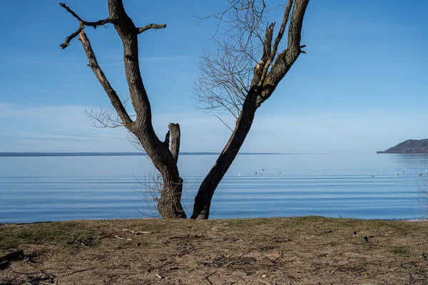 A beautiful lake view in the morning. A mist over the blue lake — Stock Photo, Image