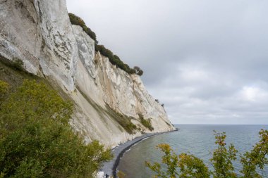 Danimarka 'daki Mons Klint' te güzel tebeşir kayalıkları