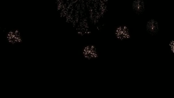 Explosão de fogo de artifício isolado em fundo preto. Vídeo animado de exibição de fogos de artifício no céu noturno. — Vídeo de Stock