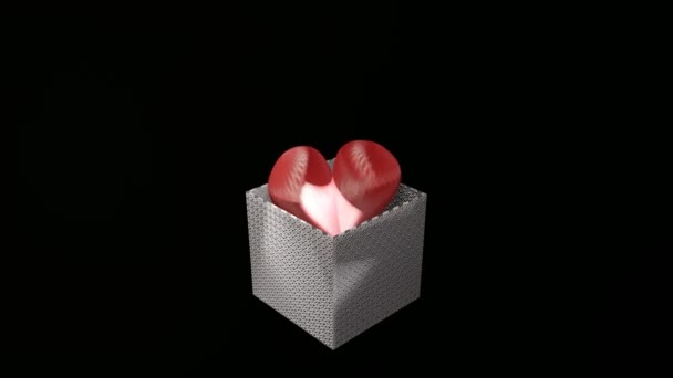 Valentýn Luxusní Dárek Červeným Srdcem Tekoucí Dárkové Krabice Abstraktní Láska — Stock video