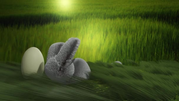 复活节兔子 草地上有蛋 视频动画3D — 图库视频影像