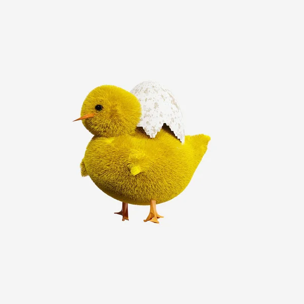 Pollo Bebé Con Huevo Aislado Sobre Fondo Blanco Ilustración Representación —  Fotos de Stock