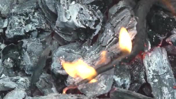 Smolering Kul Fra Birk Brænde Pejsen Smuk Flamme Juleaften Nærbillede – Stock-video