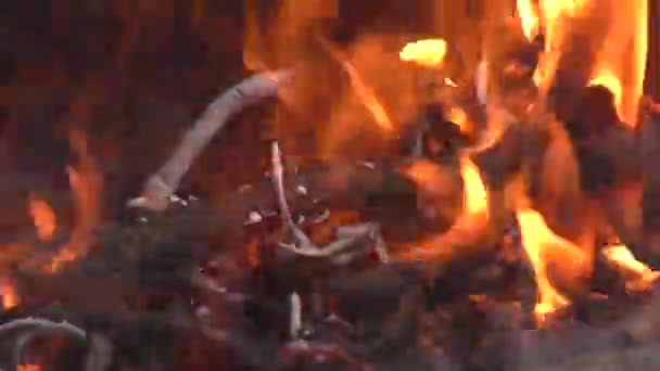 Горящий Пожар Лесу Время Похода Красивое Пламя Тлеющий Уголь Будьте — стоковое видео