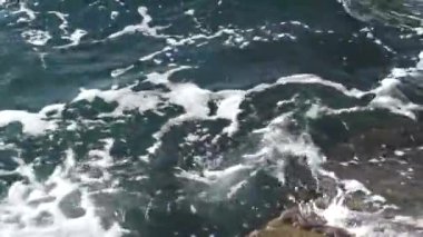 Kaya deniz yosunlarıyla kaplı ve deniz yüzeyinden yükseliyor. Dalgalar kayaların üzerinde yuvarlanıyor. Deniz Burnu.
