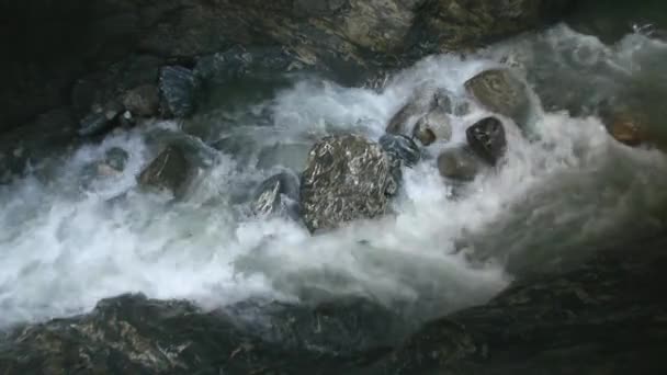 Fluxo Rápido Rio Montanha Limiares Água Quebra Violentamente Sobre Rochas — Vídeo de Stock