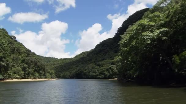 Όχθες Του Ποταμού Τάιγκα Ποτάμι Φθινοπωρινό Δάσος Αντανακλάται Ένα Ποτάμι — Αρχείο Βίντεο