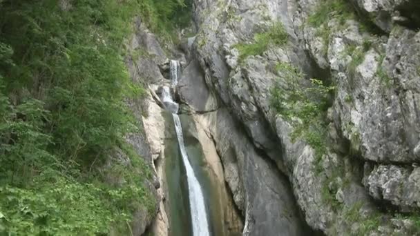Cachoeira Montanha Rio Montanha Rápido Cai Penhasco Rio Tumnin Maior — Vídeo de Stock
