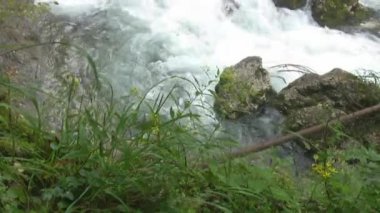 Bir dağ nehrinin hızlı akışı. Eşik noktaları. Su kayalıklarda, köpüklerde şiddetli bir şekilde kırılır ve hareket etmeye devam eder. Tayga suyun kendisine yaklaşıyor. Vahşi doğa..