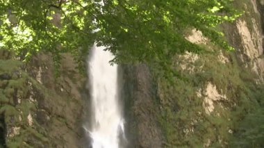 Dağ şelalesi. Hızlı bir dağ nehri uçurumdan aşağı düşer. Şelalenin güzelliği büyüleyici. Şelaleler en güzel doğa olaylarından biridir.. 
