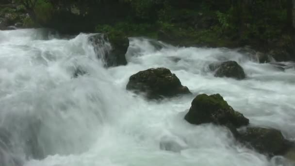 山川的急流 水在岩石 泡沫上猛烈破裂 并继续流动 泰加接近水本身 野生生物 — 图库视频影像