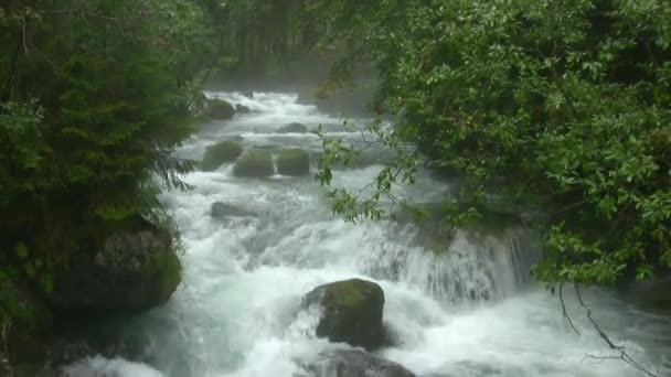 Швидкий Потік Гірської Річки Перевороти Вода Несамовито Ламається Скелях Піні — стокове відео