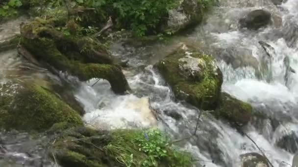 Snabbt Flöde Bergsflod Tröskelvärden Vattnet Bryts Våldsamt Klipporna Skummar Och — Stockvideo