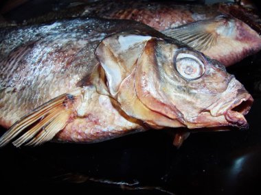Kurutulmuş Volga çipurası. Abramis Brama) harika bir bira atıştırmalığı. Üst manzara, yakın plan. Maksimum vücut uzunluğu - 82 cm, ağırlık - 6 kg, maksimum yaşam süresi - 23 yıl