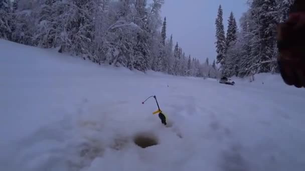 Pesca Invernale Nella Taiga Inverno Nevoso Nella Taiga Siberiana — Video Stock