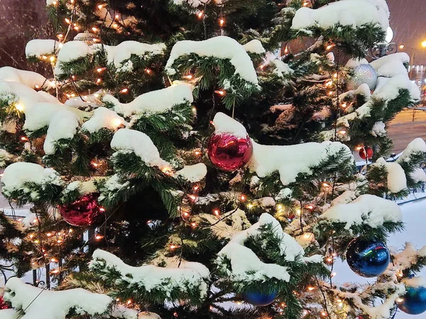 Noel ağacının karla kaplı dallarında yeni yıl oyuncakları. Cam küre, boncuklar. Şenlik arka planı. Yeni Yıl ve Noel. 