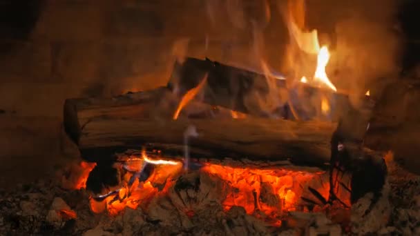 Şöminedeki Huş Ağacından Yakılan Kömürler Huş Ağacının Yakacak Odununun Altından — Stok video