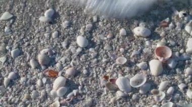 Deniz sörfü sahile yuvarlanıyor. Küçük kabuklar, çakıl taşları ve deniz kumu. Kadife mevsimi. Yakın plan..