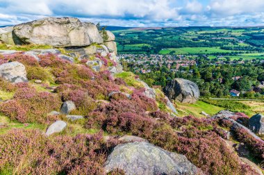 İngiltere 'nin Ilkley Yorkshire kentinin yukarısındaki Ilkley bozkırında yaz mevsiminde yapılan bir kaya zirvesinde mor bir funda manzarası.