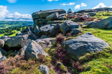 İngiltere 'nin Ilkley Yorkshire şehrinin yukarısındaki Ilkley bozkırında yaz mevsiminde mor fundalıklar ve kayalık kayalıklar.