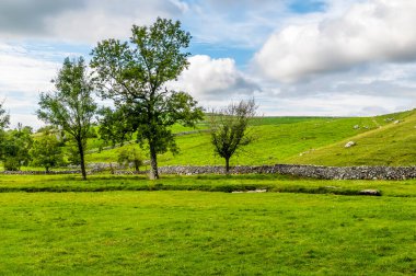 Yazın Gordale Scar, Yorkshire 'a giden yolun manzarası
