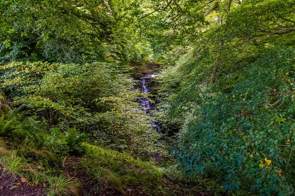 Une Vue Vers Cascade Scaleber Force Dans Yorkshire Dales Près — Photo