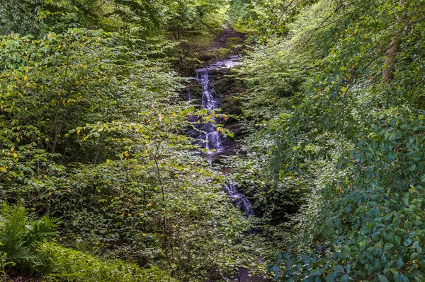 Una Larga Vista Hacia Scaleber Force Waterfall Yorkshire Dales Cerca —  Fotos de Stock