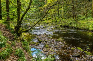 Hebden Beck 'in aşağısında Hebden Köprüsü, Yorkshire, İngiltere' nin dış mahallelerindeki kaya ve kayaları gösteren bir manzara.