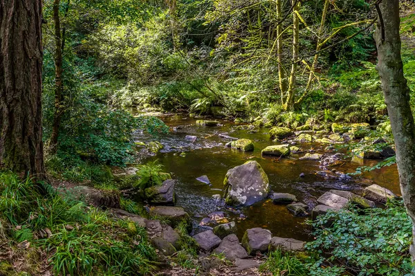 Utsikt Över Hebden Beck Utkanten Hebden Bridge Yorkshire Storbritannien Sommaren — Stockfoto