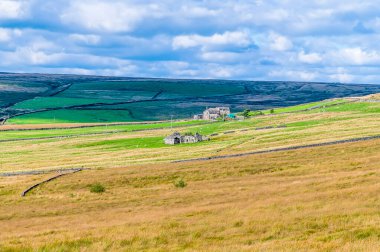 Yazın İngiltere 'nin Yorkshire kentindeki Hebden Köprüsü yakınlarındaki fundalıkların manzarası