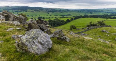 Ingleborough, Yorkshire, İngiltere 'nin bayırlarından yaz mevsiminde kayaların geçtiği bir manzara