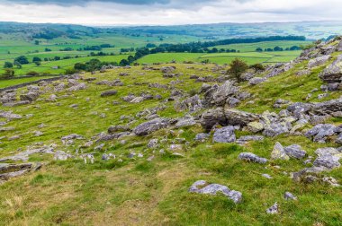 Ingleborough, Yorkshire, İngiltere 'nin yaz aylarındaki kayalık yamaçlarının manzarası