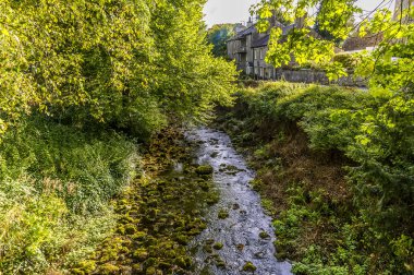 Clapham Beck 'in aşağısında, Clapham Ingleborough, Yorkshire, İngiltere' de yaz mevsiminde