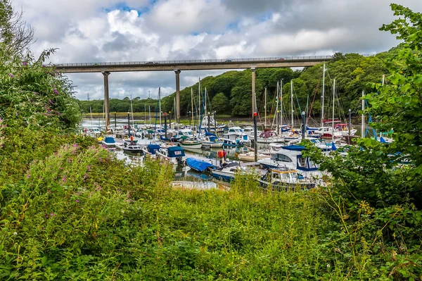 Albero Incorniciato Vista Westfield Pillola Che Mostra Barche Ormeggiate Ponte — Foto Stock