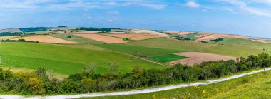 Yaz mevsiminde Worthing, Sussex 'in yukarısındaki South Downs' daki yama alanlarının manzarası