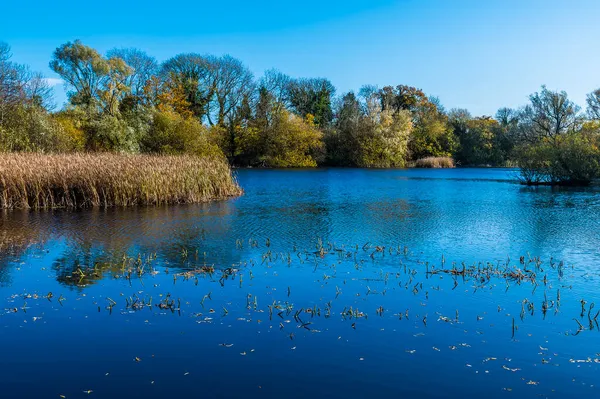 Una Vista Grande Lago Barnwell Park Una Giornata Invernale Luminosa — Foto Stock