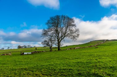 Güneşli bir sonbahar gününde İngiltere 'nin Wetton köyünün yamaçlarından bir manzara