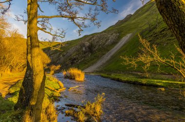 Günbatımındaki altın ışık, güneşli bir sonbahar akşamında İngiltere 'nin Dovedale kentindeki güvercini aydınlatır.