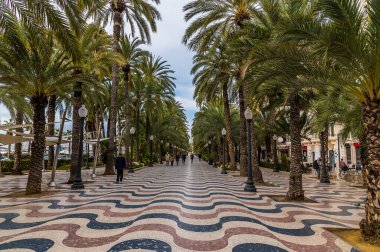 İlkbahar günü Alicante 'deki kaldırımın ortasından bir manzara.